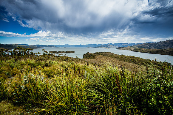 Lake Pedder