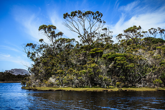Melaleuca Creek