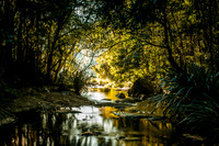 Morans Creek above the falls