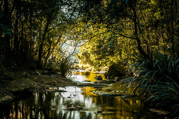 Morans Creek above the falls