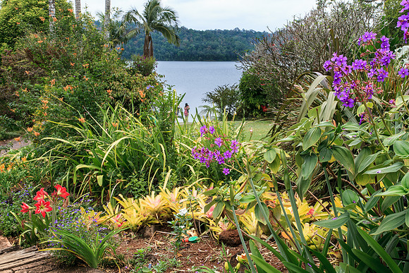 Lake Barrine