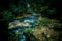 Morans Creek