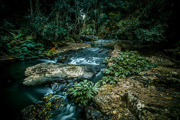Morans Creek
