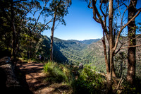 Hunter Lookout