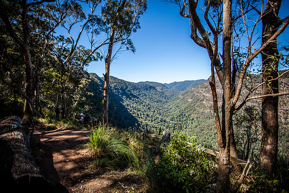 Hunter Lookout
