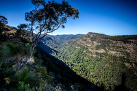 Lost World and Lamington National Park