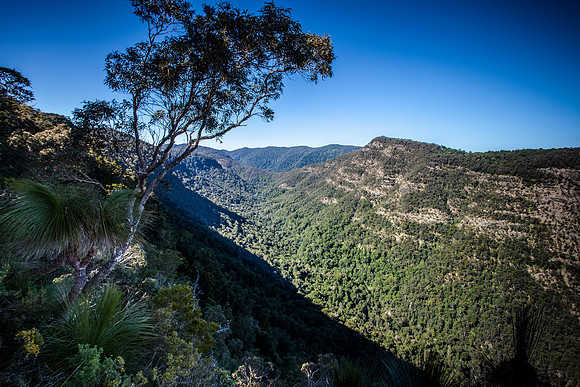 Lost World and Lamington National Park
