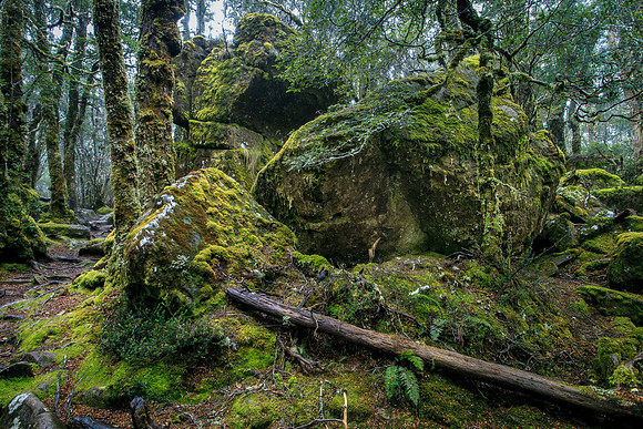 Old rocks in Pine Forest Moor
