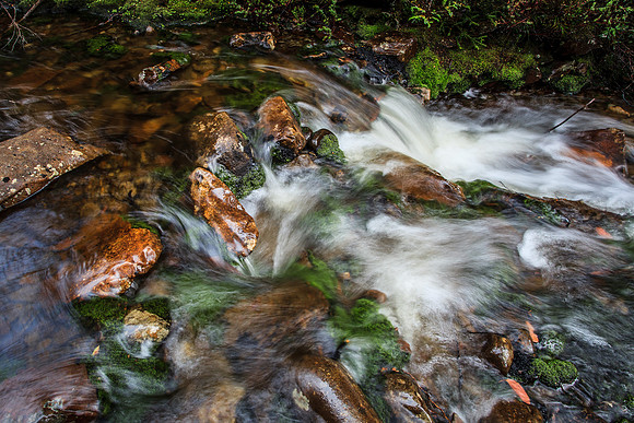 Douglas Creek Colours