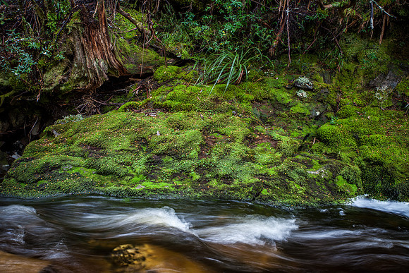 Douglas Creek