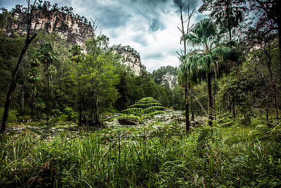 Carnarvon Creek