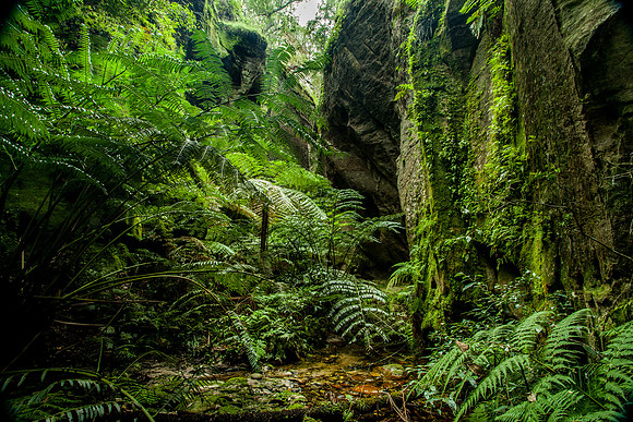 Wards Canyon