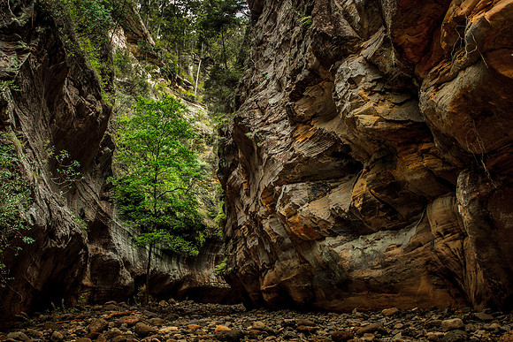 Boowinda Gorge