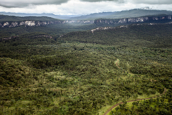 Looking towards Carnarvon Gorge