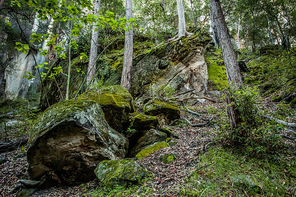 Warrumbah Gorge