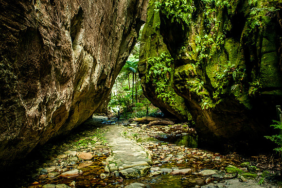 Wards Canyon