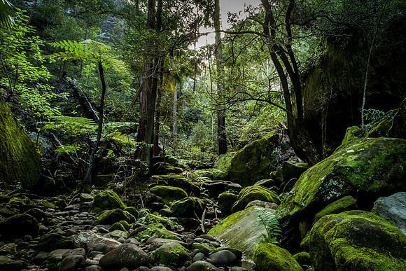 Mickey Creek