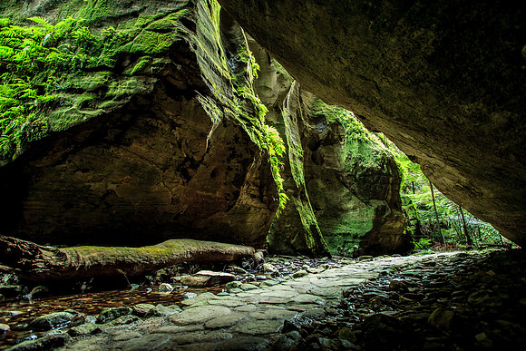 Wards Canyon