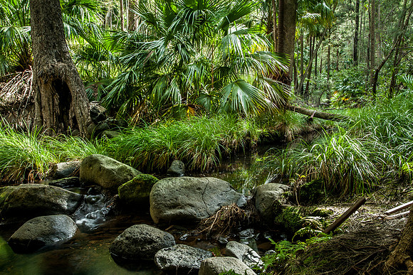 Mickey Creek