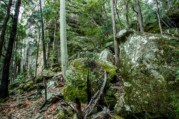 Boolimba Bluff