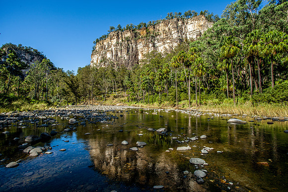 Carnarvon Creek - reflections