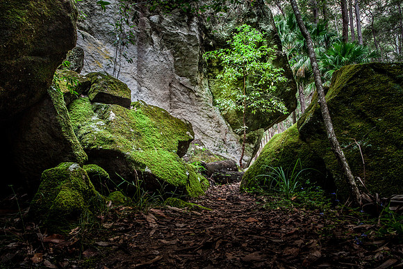 Walking Track
