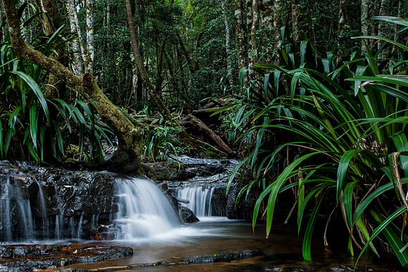 Creek above Twin Falls