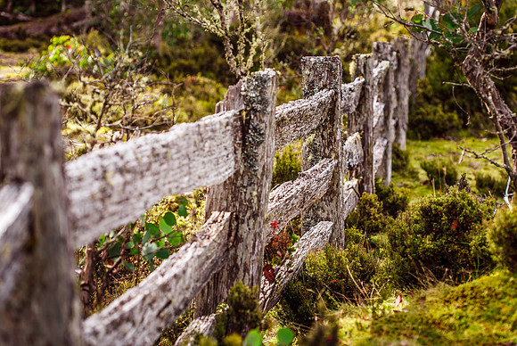 On the side of the road