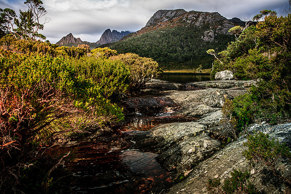 Lila Creek