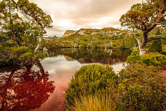 Wombat Pool