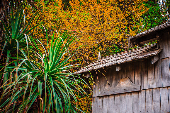 Outbuildings at Waldheim