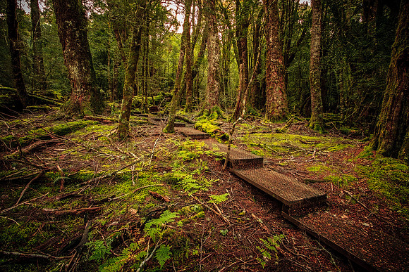 King Billy Track