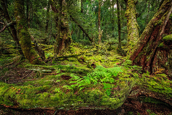 King Billy Track