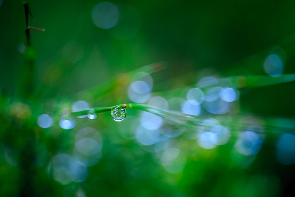 After Rain