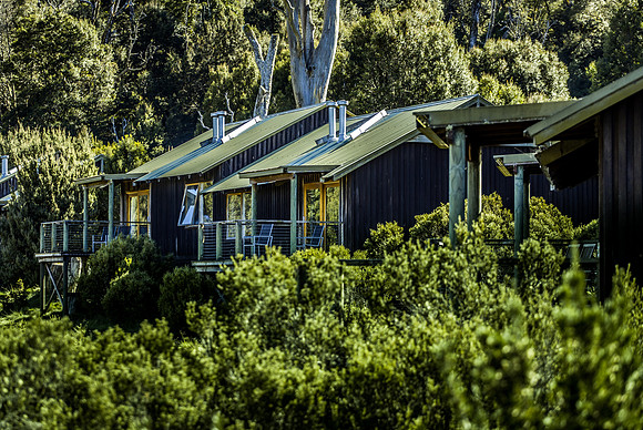 Pencil Pine Cabins