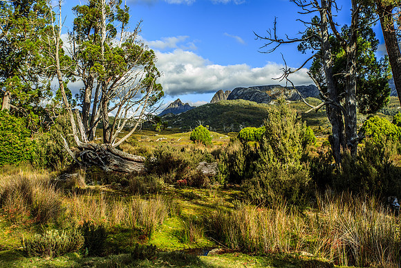 Looking toward Cradle Mountain from Mt Kate hut