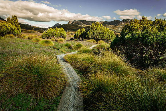 Boardwalk at Ronny Creek